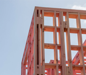 framing timber