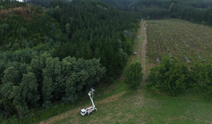 Tree trimming truck in forest area