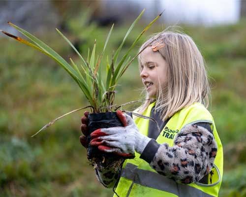 Replant for Tomorrow planting day in South Waikato