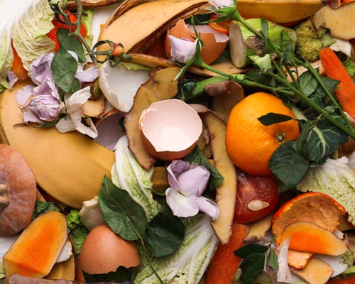 food waste
