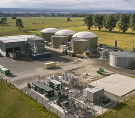 bio gas plant in Reporoa