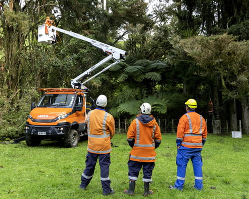 Arborist trimming trees from a cherry picker.