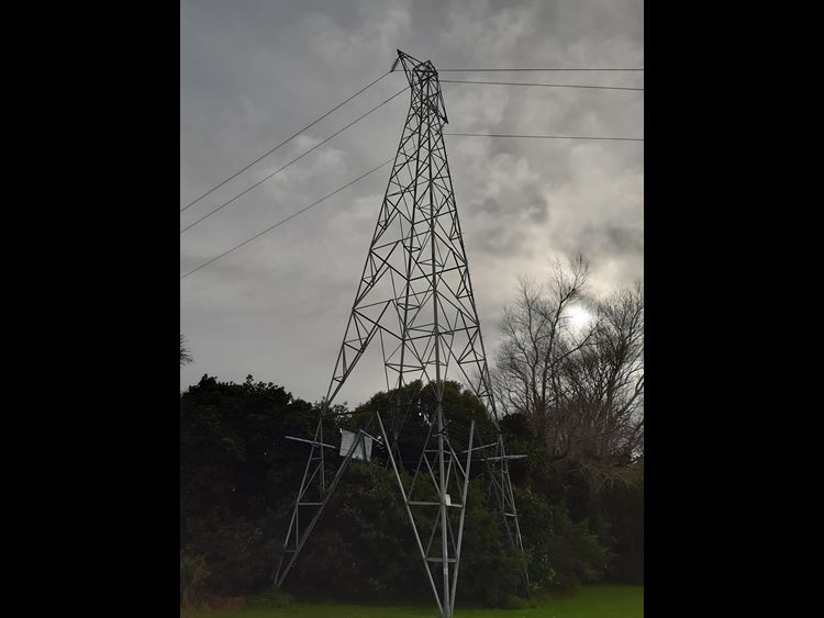 Photo from ground of Powerco's Takarangi Street tower